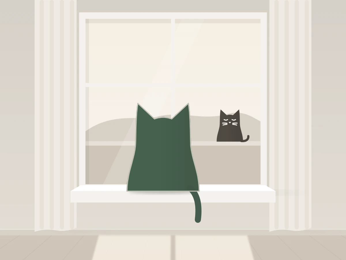 Illustration: the Felina cat on a windowsill, watching another cat outside