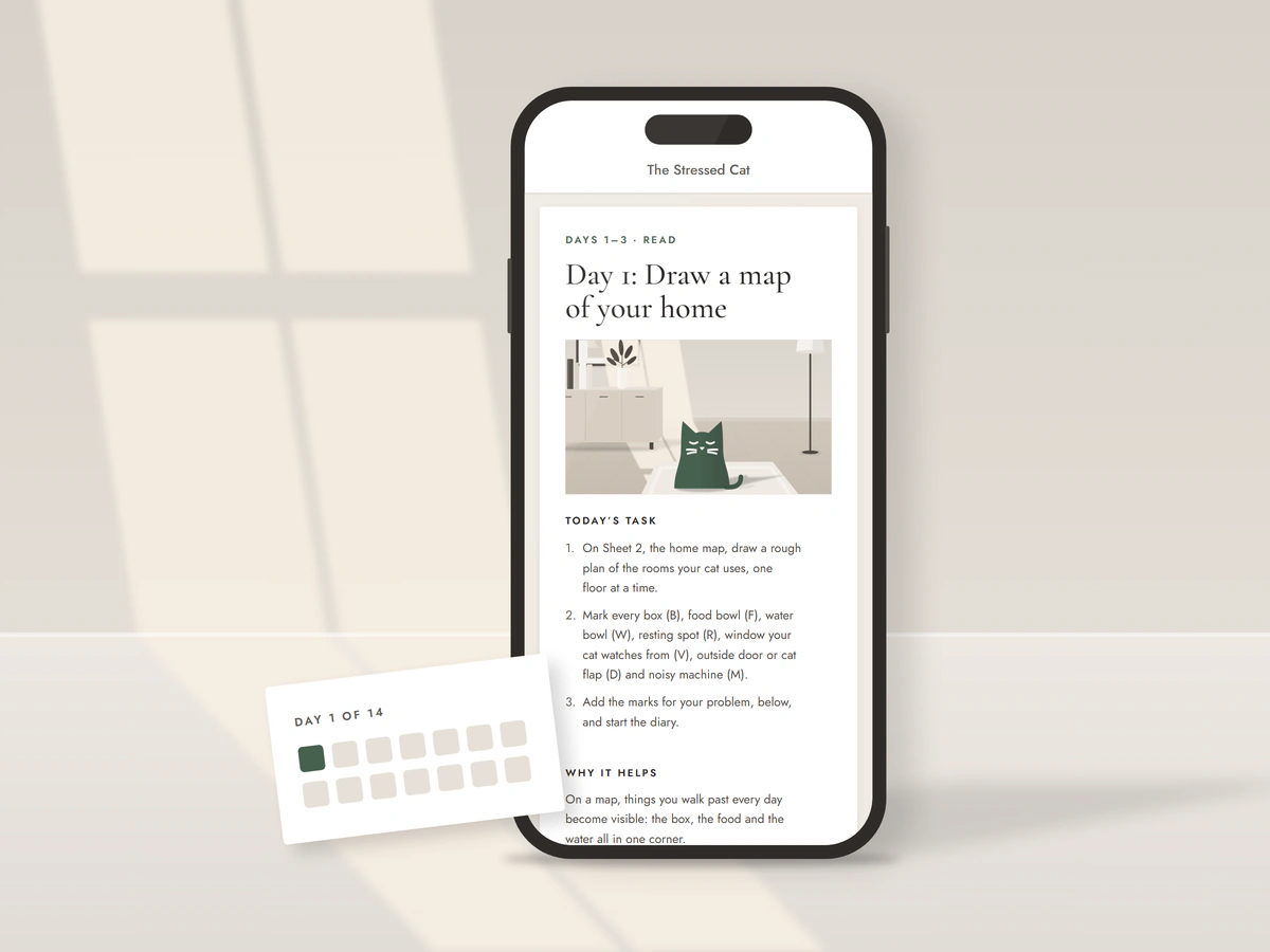 Illustration: a phone showing a page of The Stressed Cat, Day 1: Draw a map of your home, next to a small card with fourteen squares, the first one filled in