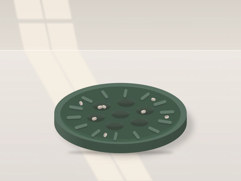 Illustration: a round green puzzle feeder on the floor, with wells and raised ridges and a few treats tucked in